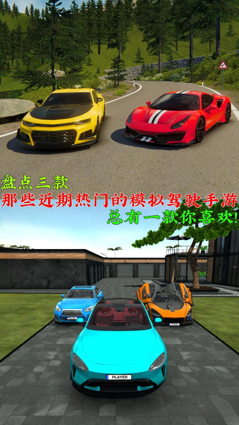 2026年模拟驾驶游戏推荐:这3款真实度拉满!