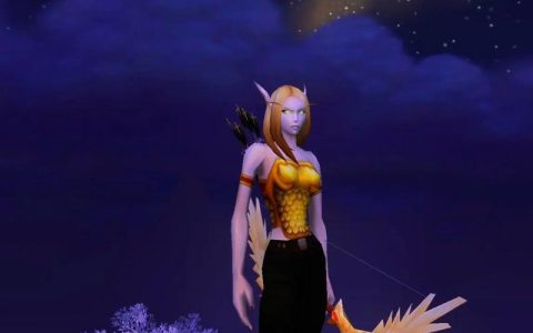 11.0猎人幻化搭配指南：5套帅气又易刷的经典造型