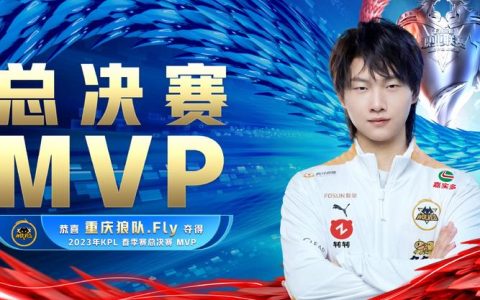 FLY战队是哪个国家的？一文说清战队归属
