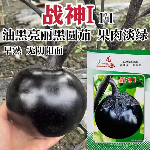 战神1号BOSS速通打法!2026版核心技巧与配队详解